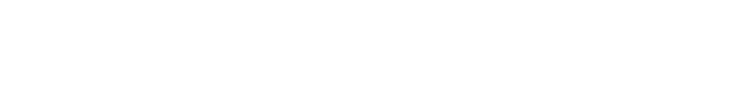 Datastub